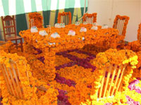 Dia de los Muertos Alter, made from local flowers 
