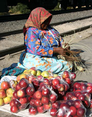 Tarahumara